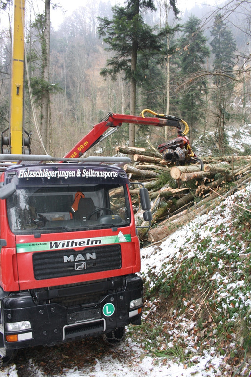 Klausm__hlebach A Waldr__umung ARBEIT _24_.jpg