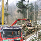 Klausm__hlebach A Waldr__umung ARBEIT _24_.jpg
