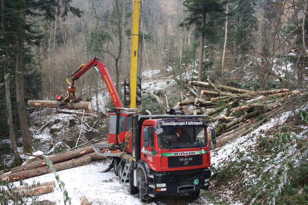 Klausm__hlebach A Waldr__umung ARBEIT _25_.jpg