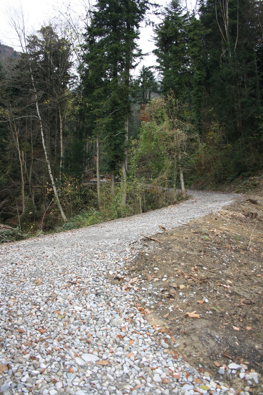 Klausm__hlebach B Waldr__umung START 24-11-2013 _7_.jpg