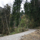 Klausm__hlebach B Waldr__umung START 24-11-2013 _7_.jpg