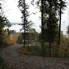 Klausm__hlebach B Waldr__umung START 24-11-2013 _4_.jpg