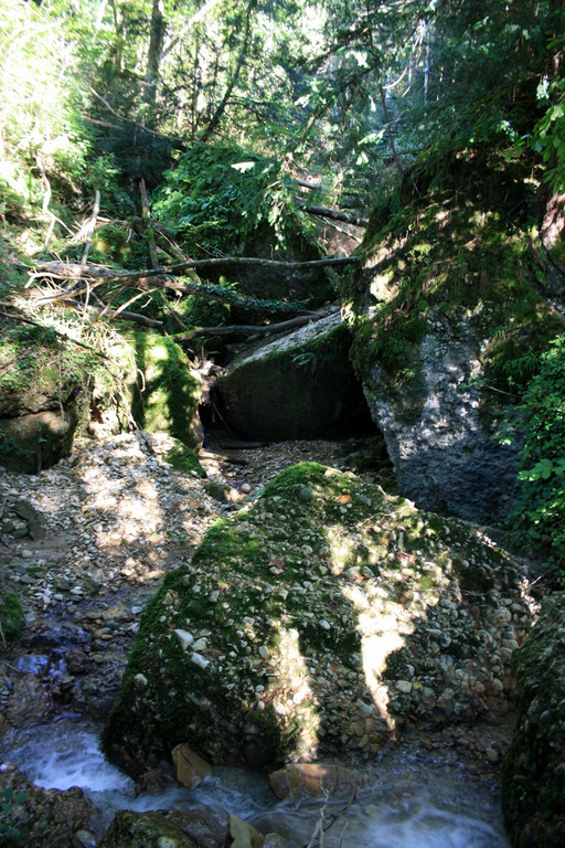 Klausm__hlebach C Begehung 2013 _6_.jpg