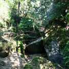 Klausm__hlebach C Begehung 2013 _6_.jpg