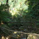 Klausm__hlebach C Begehung 2013 _7_.jpg