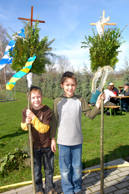 Palmbinden60.JPG