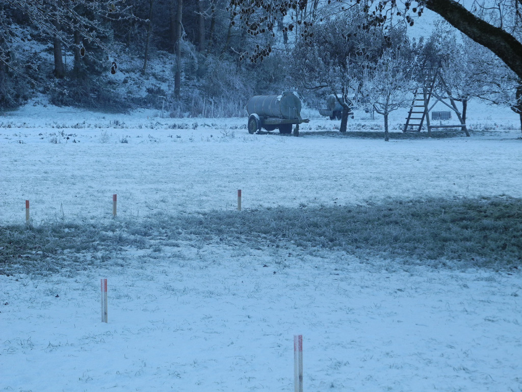 DSCN1287.JPG