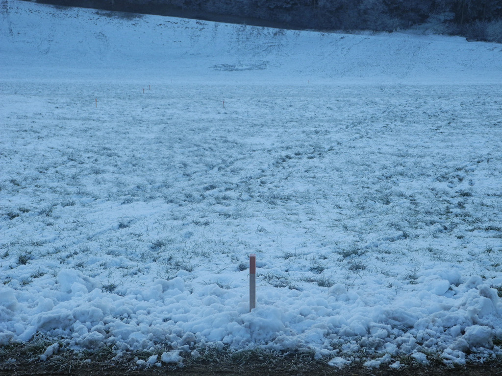 DSCN1290.JPG