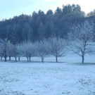 DSCN1291.JPG