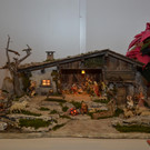 DSC_0595.JPG