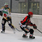 IMG_3373.jpg