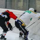 IMG_3563.jpg