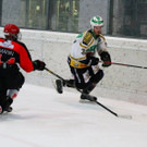 IMG_3624.jpg