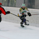 IMG_3625.jpg