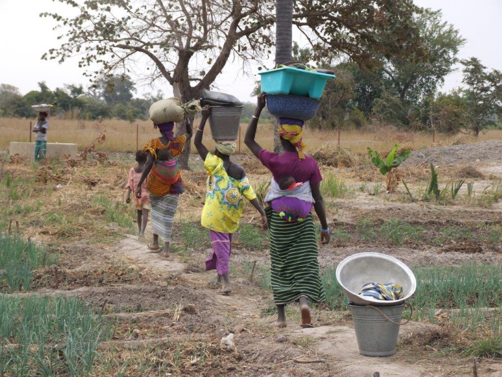 Ankunft im Gem__segarten  _1_.jpg