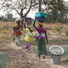 Ankunft im Gem__segarten  _1_.jpg