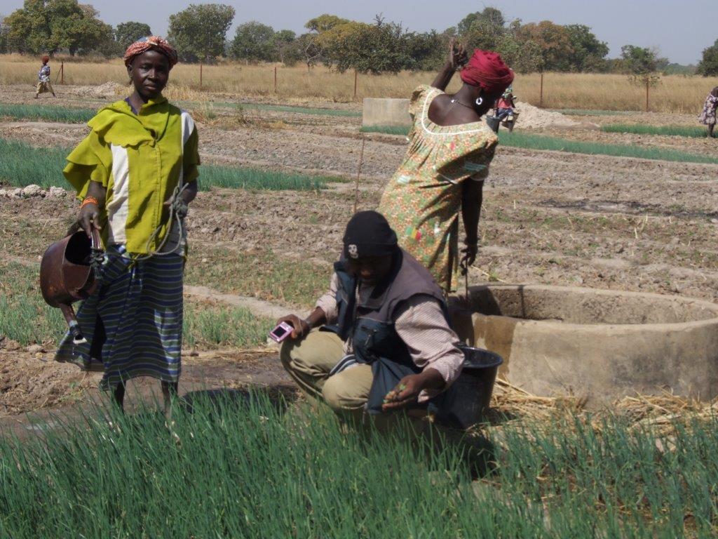 Der Agronom steht den Frauen mit Rat und Tat zur Seite.jpg