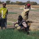 Der Agronom steht den Frauen mit Rat und Tat zur Seite.jpg