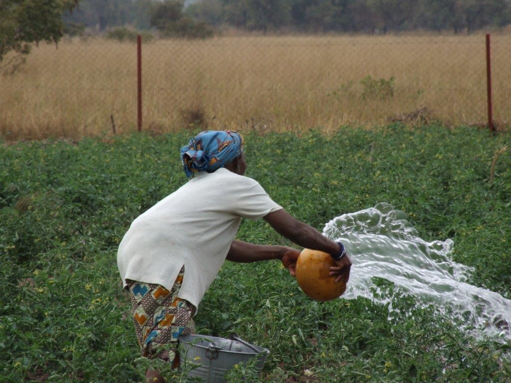 Regelm__ssiges Giessen ist unerl__sslich.jpg