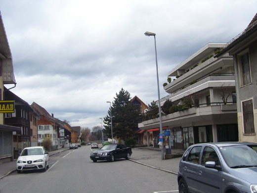 100_9131_jpg-1269846058