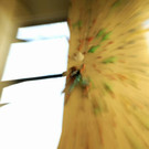 DSC01323.JPG