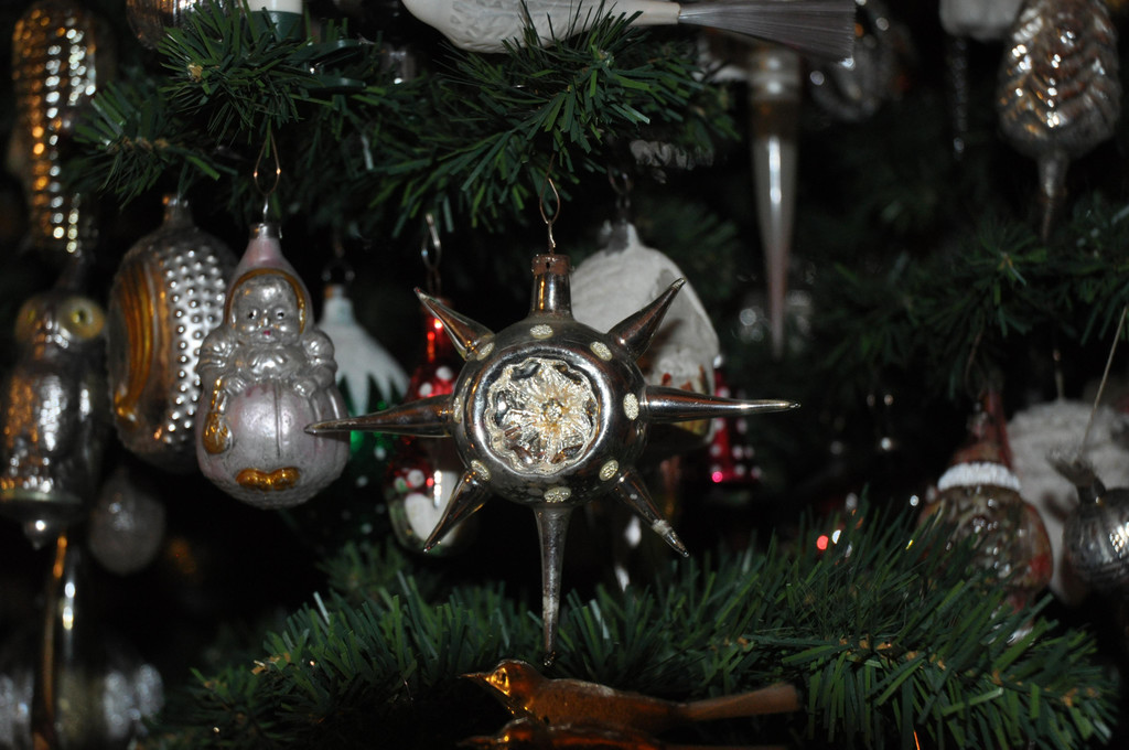 DSC_0014.JPG
