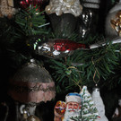 DSC_0015.JPG