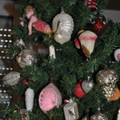 DSC_0016.JPG