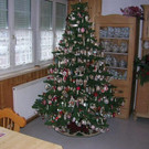 DSCN3220.JPG