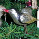 DSCN3224.JPG