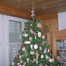 DSCN3233.JPG