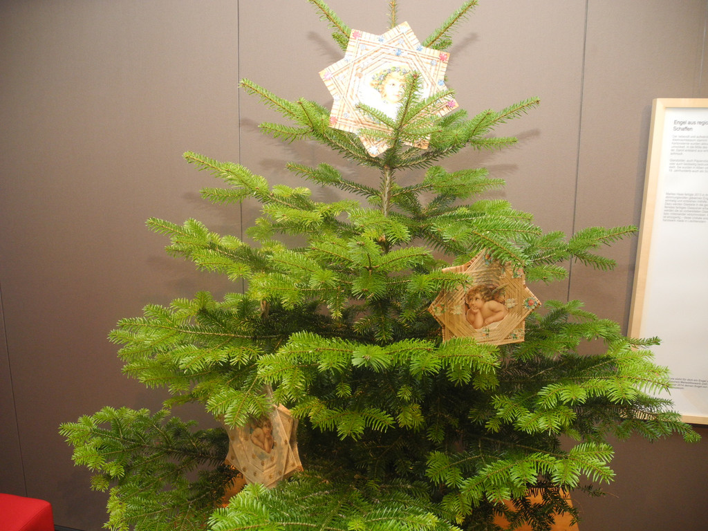 DSCN1393.JPG