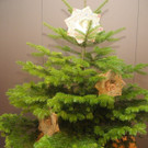 DSCN1393.JPG
