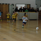 Bilder Hallenturnier Au
