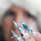 Stiletto-Nails