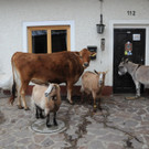 Winter 030413_ - 011.JPG