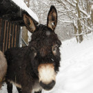 Winter 030413_ - 029.JPG