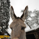 Winter 030413_ - 036.JPG