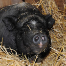 Winter 030413_ - 047.JPG