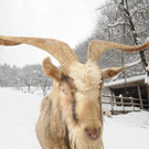 Winter 030413_ - 054.JPG