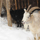 Winter 030413_ - 060.JPG