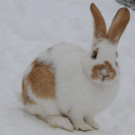 Winter HB 071213 038.JPG