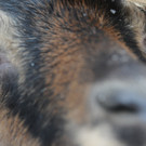 Winter HB 071213 076.JPG