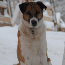 Winter HB 071213 088.JPG