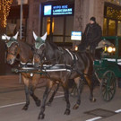 DSC_4317.JPG