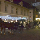 DSC_4338.JPG
