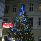 DSC_4343.JPG