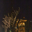 DSC_4384.JPG
