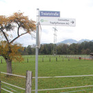 Treietstra__e_1.jpg