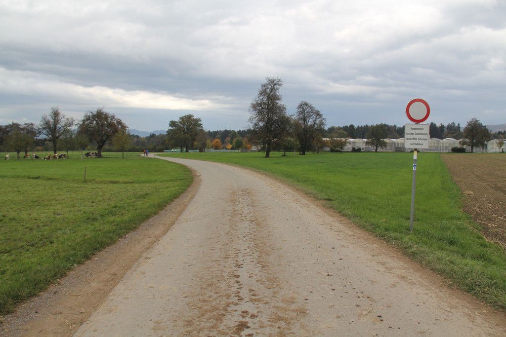 Treietstra__e_2.JPG